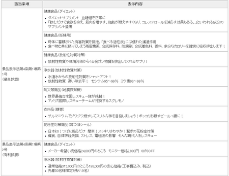 ネット監視指導内容(東京都).png