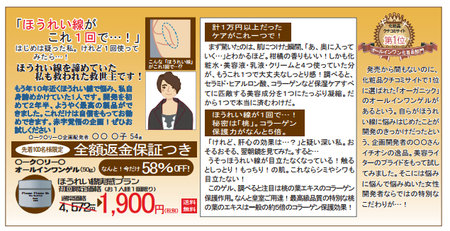 折込みチラシ調査2015(事例2b).png
